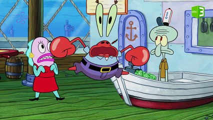 طيار قوي يضرب مقرمشات سلطع 