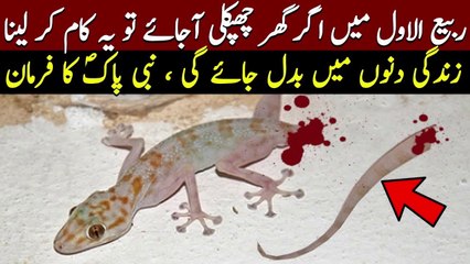 Chapkali Ko Marne Ka Kitna Sawab Milta Hai