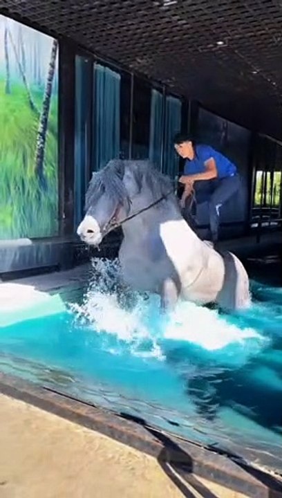 Horse Lover 