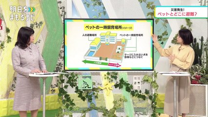明日をまもるナビ (29)「ペット共生社会　災害にどう備える？」_0310_202112191005