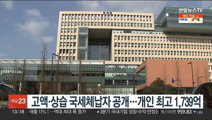 고액·상습 국세체납자 공개…개인 최고 1,739억