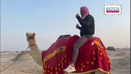 Un tico en Qatar - 141222