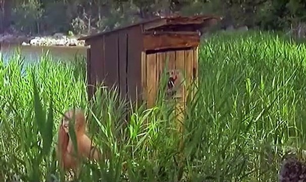 Особенности национальной рыбалки