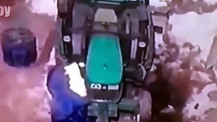 4 Kangal Dogs Powerfully Attack The 7 Wolf!   Kangal Vs Wolf