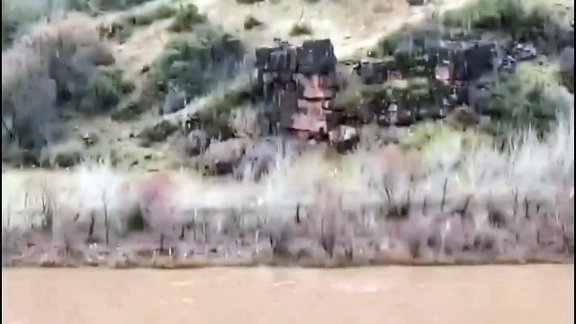 kangal dog vs wolf (2022) kangal dog vs wolf video kangal dog vs wolf real fight WILD Addiction (3)