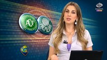 Palmeiras enfrenta a Chapecoense e deve dar uma chance aos garotos