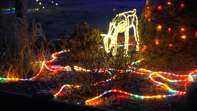 Dover street raising funds with huge festive display