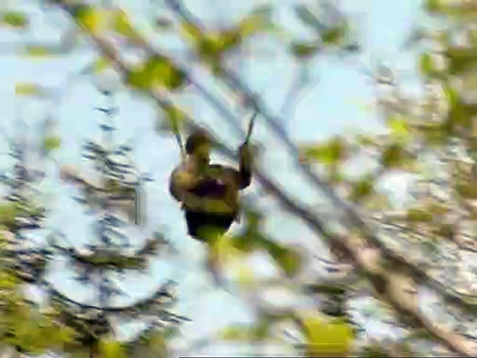 Stockinger Staffel 1 Folge 5