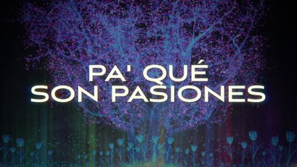 Valentín Elizalde - Pa' Qué Son Pasiones