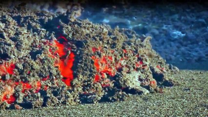 Wilde Arktis Staffel 1 Folge 4 HD Deutsch