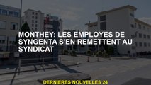 Moneyy: Les employés de Syngenta comptent sur le syndicat