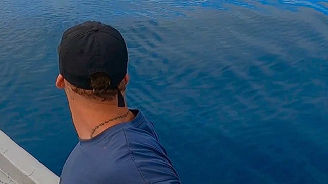 People on boat lose their minds in excitement after watching whales jumping out of water