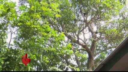 Caso Francisco Ramos