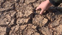 극심한 가뭄에 섬 지역 식수난 심각...밭작물·공업용수도 우려 / YTN