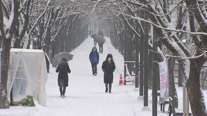 [날씨] 오늘 전국 대부분 함박눈...낮부터 찬 공기 유입 / YTN