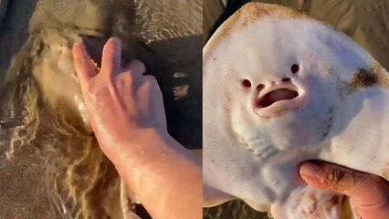 A strange smiley-faced creature on beach makes person's blood run cold