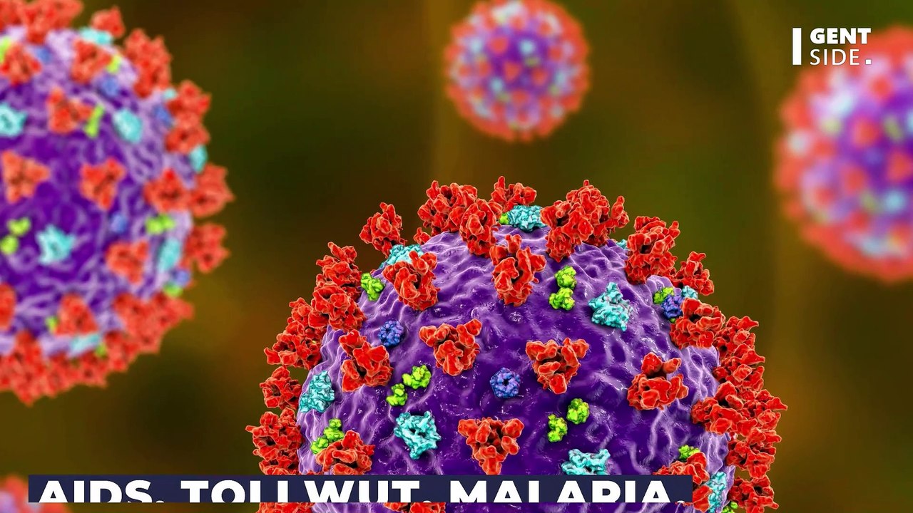 Das nächste Coronavirus kommt aus Katar: WM-Rückkehrende sind zu Vorsicht angehalten