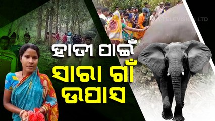 Special Story | Locals pay last tribute to elephant in Nilagiri