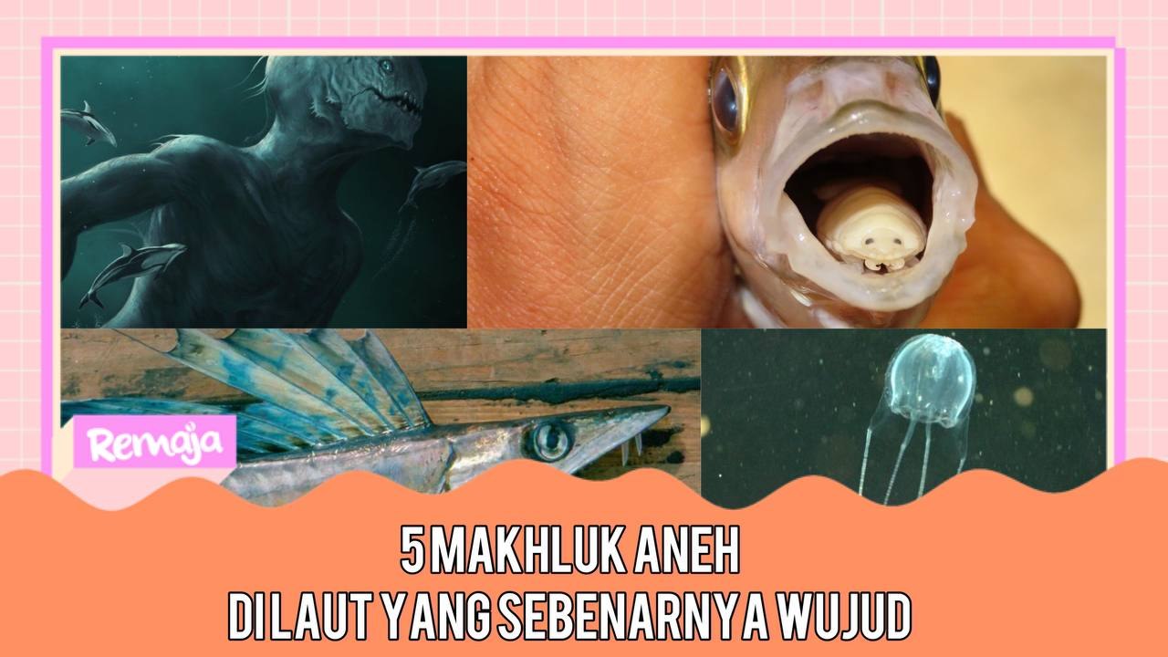 Berbahaya Dan Mengerikan, Ini 5 Haiwan Laut Aneh Yang Sebenarnya Wujud!