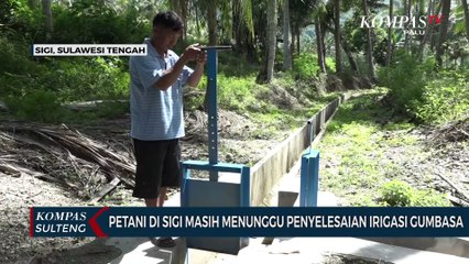 Petani di Sigi Masih Menunggu Penyelesaian Irigasi Gumbasa