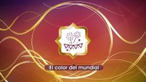 El color del mundial - 121222