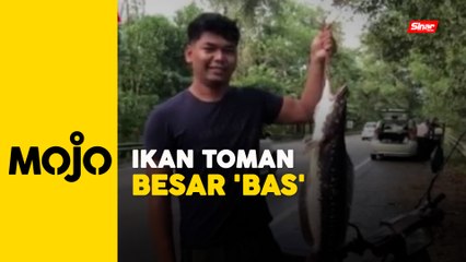 Disebalik musibah, ada rezeki banjir di Kelantan