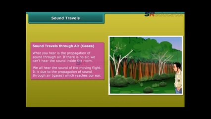 Class 8 physics Sound