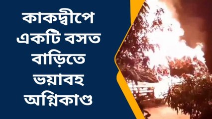 দঃ ২৪ পরগনা: ভয়াবহ অগ্নিকাণ্ড, আগুনে ভস্মিভূত আস্ত একটি বসত বাড়ি