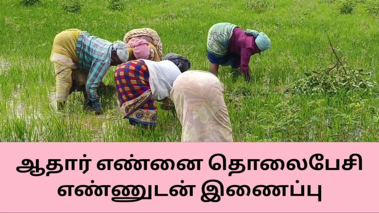 சிவகங்கை:விவசாயிகள் ஆதாருடன் அலைபேசி எண்ணை இணைக்க வேண்டும்!