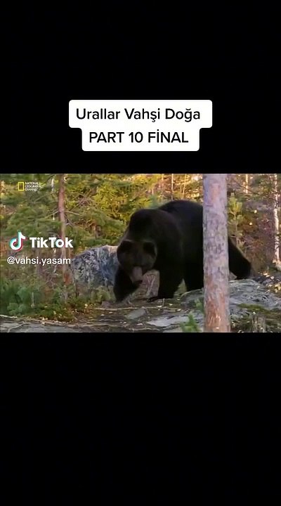 Urallar Vahşi Doğa - Part 10
