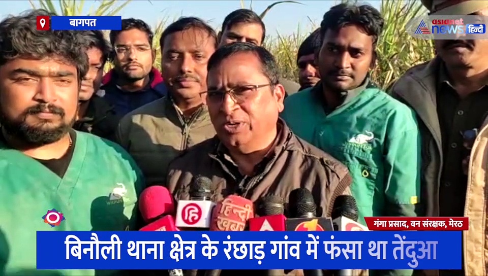 बागपत: तेंदुए का रेस्क्यू ऑपरेशन, जानिए 38 घंटे बाद क्या हुआ हाल