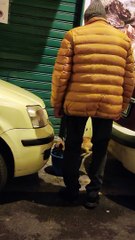 Dog Rides Bucket Elevator