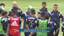 Palmeiras treina para jogo contra Penapolense