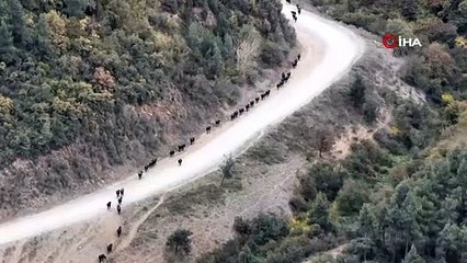 İnanılmaz görüntüler: Burası Afrika değil İstanbul