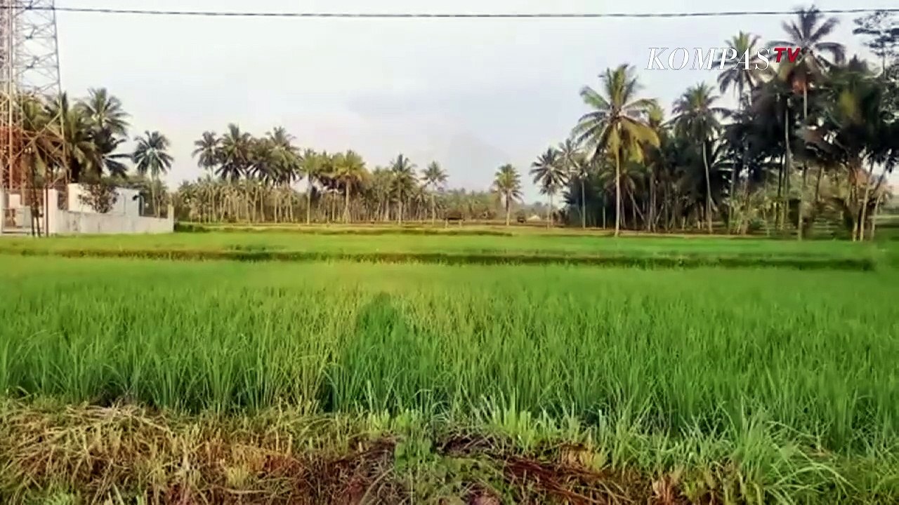Hoaks Letusan Semeru Membuat Siaga Tsunami di Jepang  NEWS OR HOAX