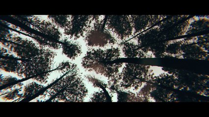 Des soldats et des ombres Bande-annonce (EN)