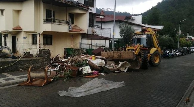 Evinde kedi ve köpek ölüleri bulundu