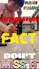 Interesting fact explained! Don't Miss it.