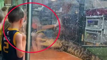 Timsah kadın bakıcısını yakalayıp suya çekti, korkusuz ziyaretçi gözünü karartıp kafese daldı