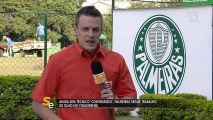 Palmeiras trabalha de olho no Figueirense e segue sem técnico