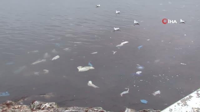Kadıköy'ü lodos vurdu, Caddebostan sahilini plastik atıklar kapladı