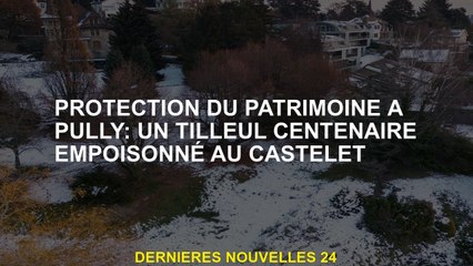 Protection du patrimoine à Pully: un centenaire de citron vert empoisonné dans le castlet