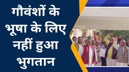 चित्रकूट: दर्जनों प्रधानों को गोवंशो के भरण पोषण का नही मिला पैसा, सीडीओ को दिया ज्ञापन