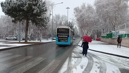 Erzurum'da kar yağışı etkili oluyor (2)