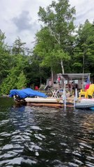 Lennon the Dog Loves Diving From the Dock
