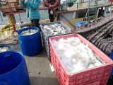 Sahil kenarlarında yasadışı ticari balık avcılığı yapanlara 30 bin TL para cezası kesildi