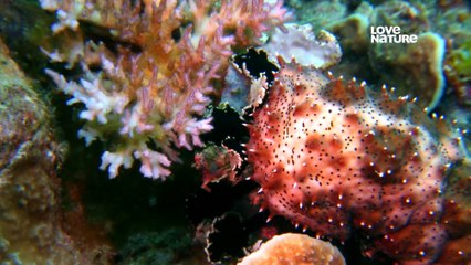 Alien Abyss - Alles and Adversaries