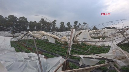 Serası hortumdan yıkılan üretici: Seramı yerle bir etti