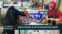 Harga Daging Ayam Di Pasaran Melonjak