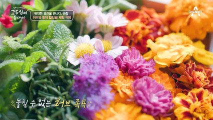 "이런 게 진짜 힐링이지~" 지친 몸과 마음을 위로하는 허브 족욕